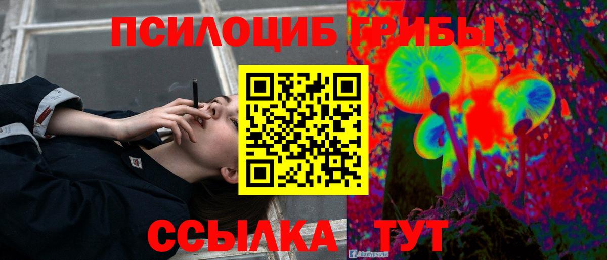 Псилоцибиновые грибы GOLDEN TEACHER Астрахань